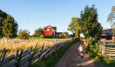 Pojke cyklar på landsväg