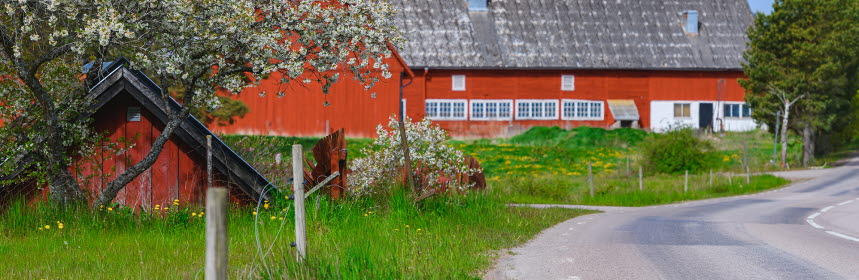 En röd lada vid en liten väg på landsbygden