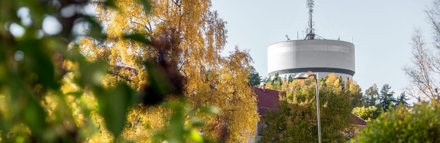 Vatterntornet i höstmiljö. Foto.