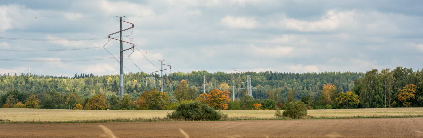 Natur med elledningar i fokus. Foto.